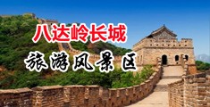 外国女人大鸡巴插B免费视频中国北京-八达岭长城旅游风景区