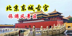 污视频免费操逼中国北京-东城古宫旅游风景区